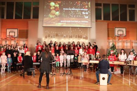 Božično-novoletni koncert Osnovne šole Toma Brejca  (49)